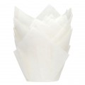 Keksiukų popierėliai-tulpės - balta (White), HOM (36 vnt.)