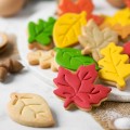 Sausainių formelių rinkinys "Rudens lapai", Decora