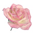 Набор формочек для мастики - роза с 5 лепестками, JEM (3 шт.)