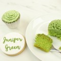 PME Natural Food Colour - Juniper Green - 25g