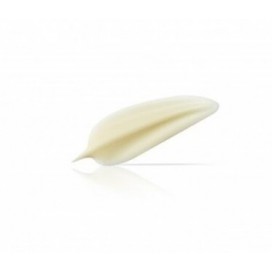 Chocolate Feather White