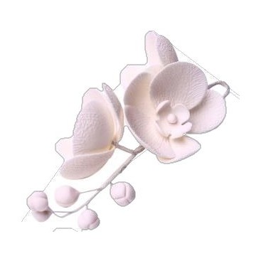 Съедобные украшения - орхидея