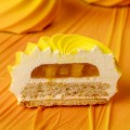 Силиконовая форма "Marshmallow ", Dinara Krasko