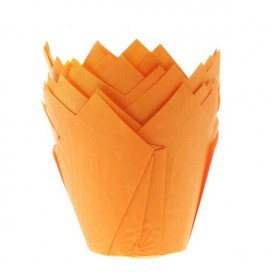 House of Marie Muffin Cups Tulip Yellow pk/36