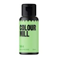 Dažai skysti – mėtinė (Mint), 20 ml, Colour Mill
