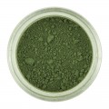 Dažai sausi - žalia (Moss Green), 2 g, RD