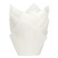 Muffin Cups Tulip White pk/24