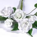 Cukrinė gėlių masė Renshaw 250g (balta)