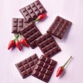 Silikoninė formelė šokoladui - šokolado plytelė (Silikomart)